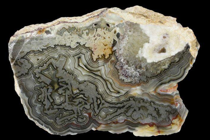 Polished Crazy Lace Agate Slab - Mexico #114831
